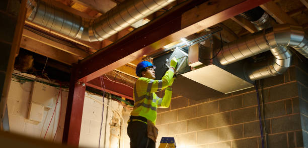 Best Air Vent Cleaning Services  in Nyon Lake, CA